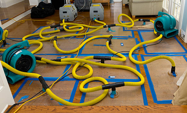 Professional Crawl Space Water Removal technician working in Lakeside, FL